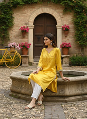 Women Casual Rayon Straight Embroidered Kurta (W1671)